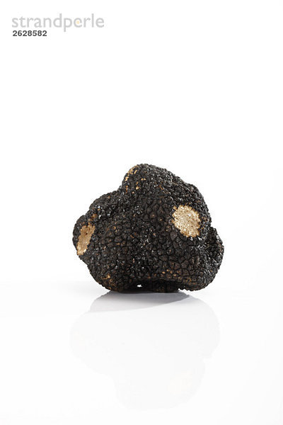 Black Truffle