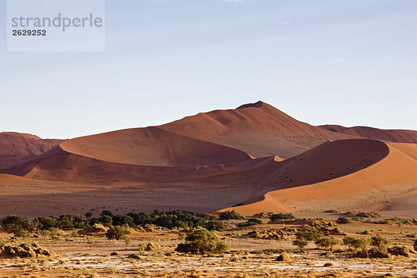 Afrika  Namibia  Sossuvlei  Sanddünen