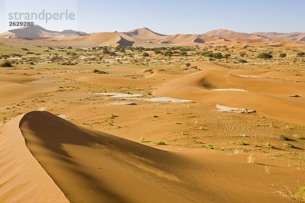 Afrika  Namibia  Sossusvlei  Sanddünen