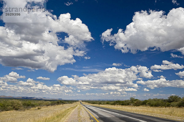 Afrika  Namibia  Etosha Nationalpark  Straße
