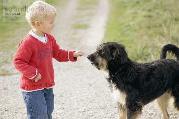 Kleiner Junge (3-4) spielt mit Hund