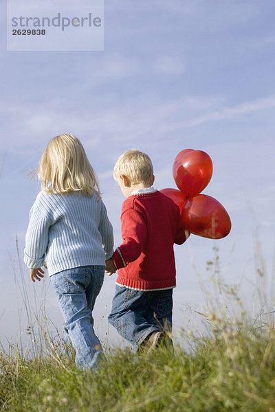 Kleines Mädchen und Junge (3-4) gehen Hand in Hand  Rückansicht