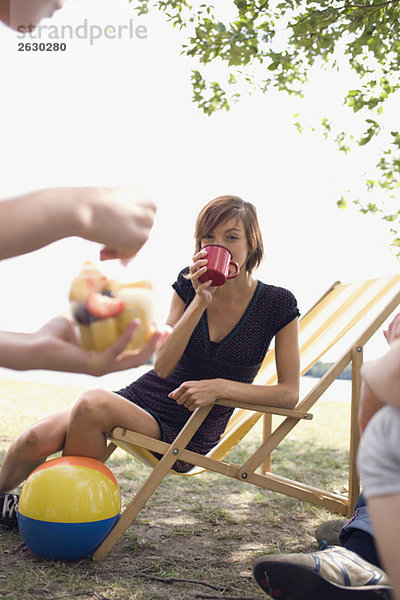 Germany  Leipzig  Ammelshainer See  Friends having picnic near lake