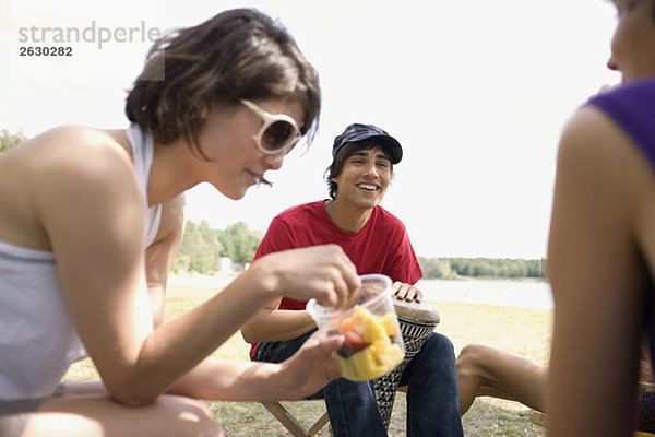 Germany  Leipzig  Ammelshainer See  Friends having picnic