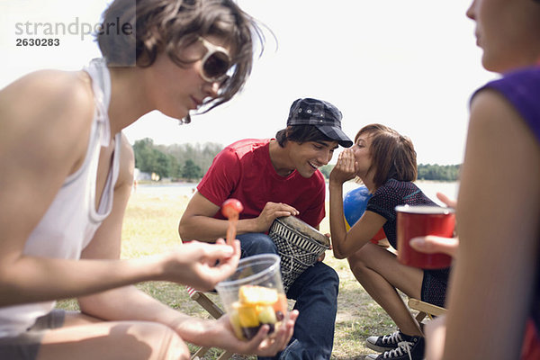 Germany  Leipzig  Ammelshainer See  Friends having picnic