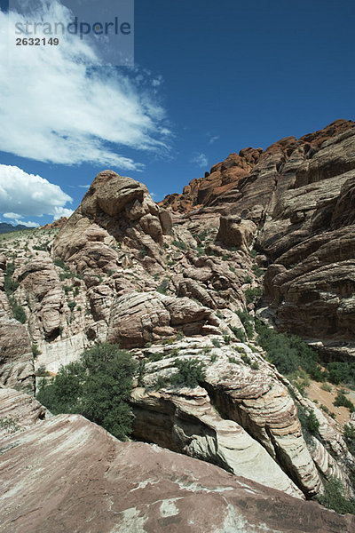 Red Rock Canyon  Nevada  USA