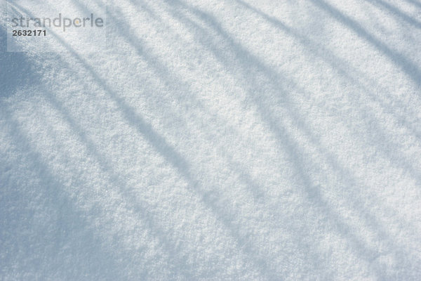 Schatten auf Schnee