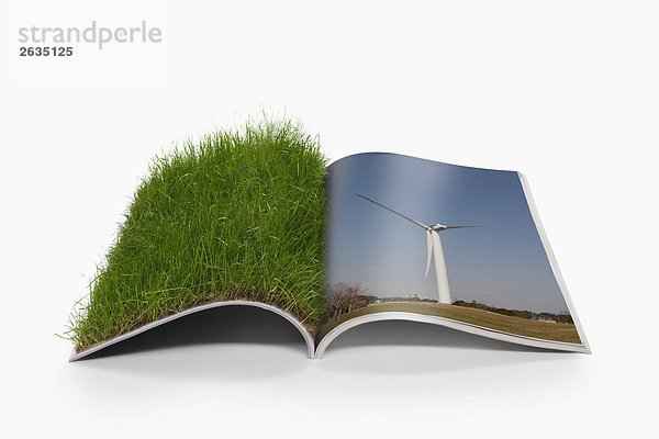 Offenes Buch mit Gras und Windmühle
