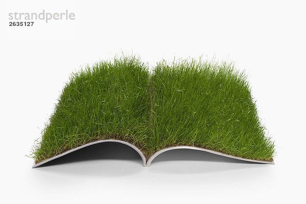 Gras wachsen auf Buch