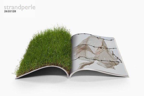 Offenes Buch mit Gras und Tuch Stucked in Barbed wire