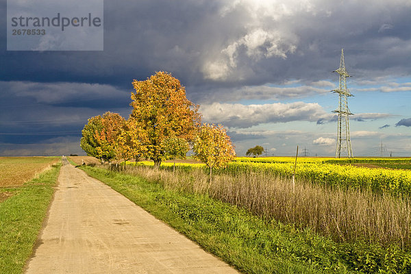 Schmutz-Straßenlauf-Feld