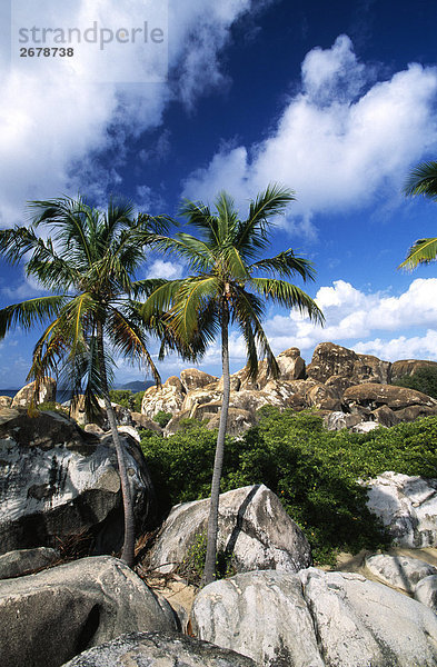 Felsen an Küste  die Bäder  Virgin Gorda  Britische Virgin-Islands