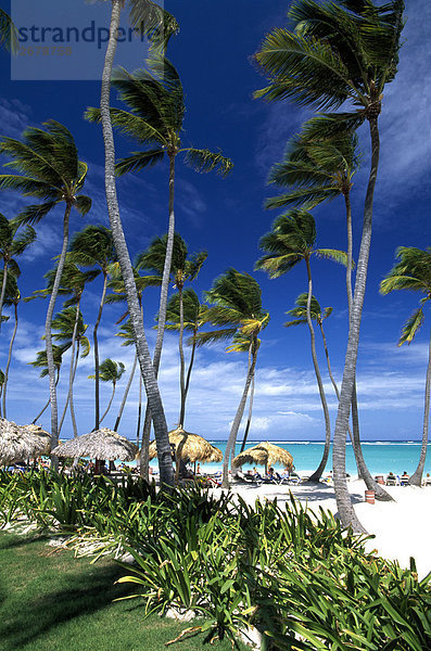 Palmen und Touristen am Strand  Bavaro  Punta Cana  Hispaniola  Dominikanische Republik