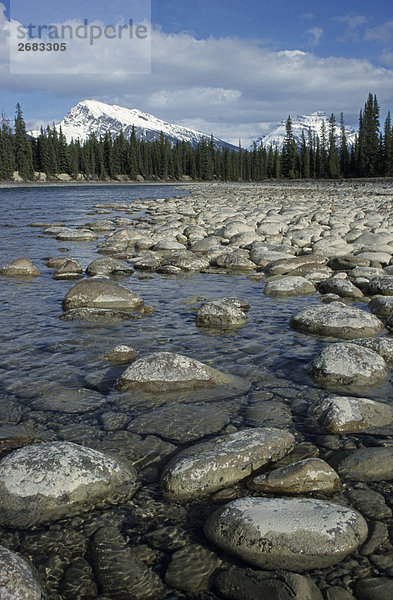 Steine im Fluss mit Berg im Hintergrund  Athabasca River  Mt Kerkeslin  Jasper-Nationalpark in Alberta  Kanada