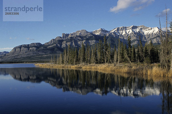 Reflexion der Berg im Wasser  Talbot See  Miette Range  Jasper-Nationalpark in Alberta  Kanada