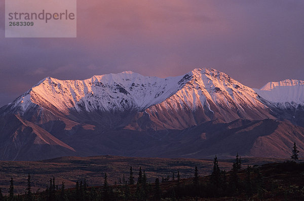 Panoramablick auf schneebedeckten Gebirgszug  Denali National Park  Alaska  USA