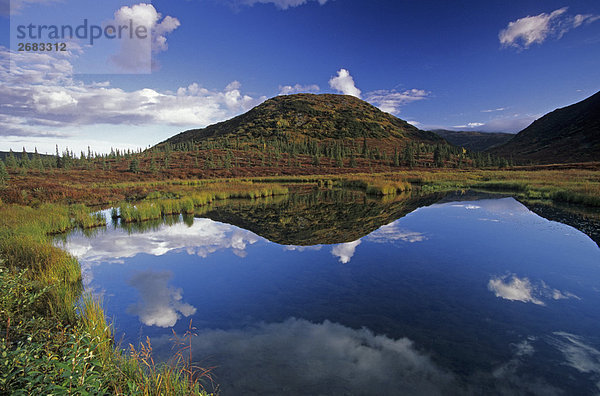 Reflexion des Berges im Wasser  Denali National Park  Alaska  USA