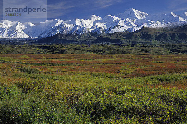 Panoramablick auf schneebedeckten Gebirgszug  Denali National Park  Alaska  USA