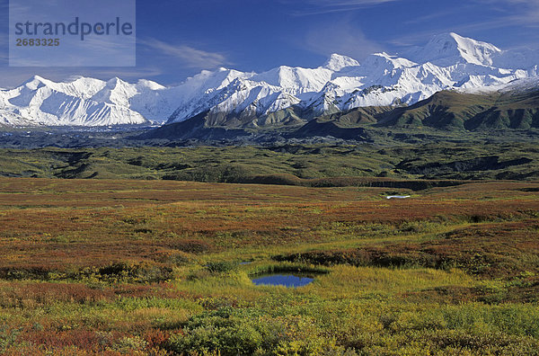 Panoramablick auf schneebedeckten Gebirgszug  Denali National Park  Alaska  USA