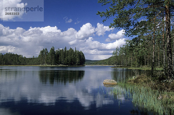 Besinnung bewölkung und Bäume im Wasser  Co Vaermland  Schweden