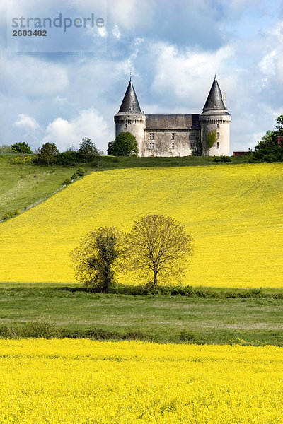 Schloss über eine Raps-Feld (gelbe Kohl) Frankreich