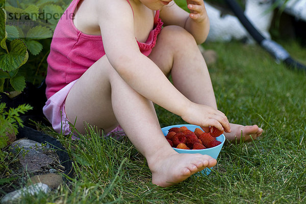Kleines Mädchen pflückt Erdbeeren im Sommer