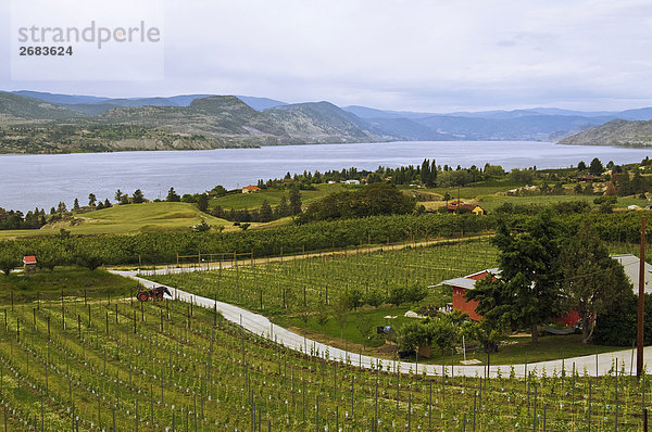 Weingut auf der Naramata Bank  Okanagan Lake