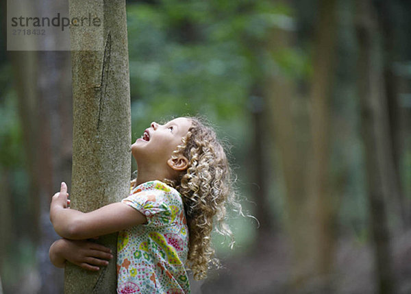 Junges Mädchen  das den Baum umarmt und nach oben schaut.