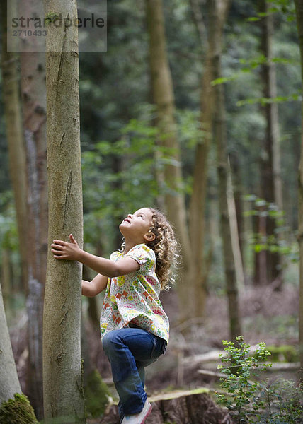 Junges Mädchen beginnt  auf einen großen Baum zu klettern