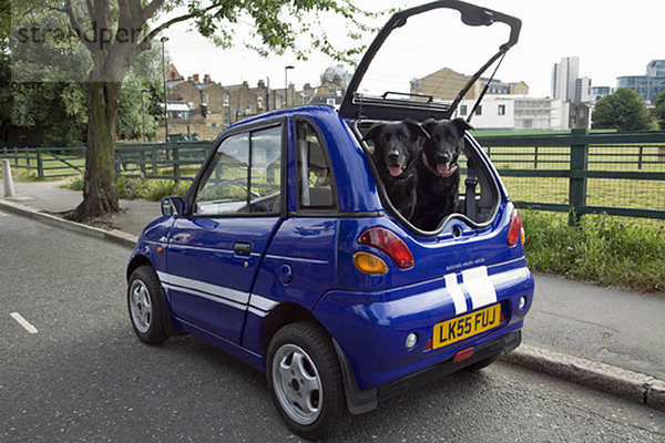 Hunde keuchend im Kofferraum eines Elektroautos