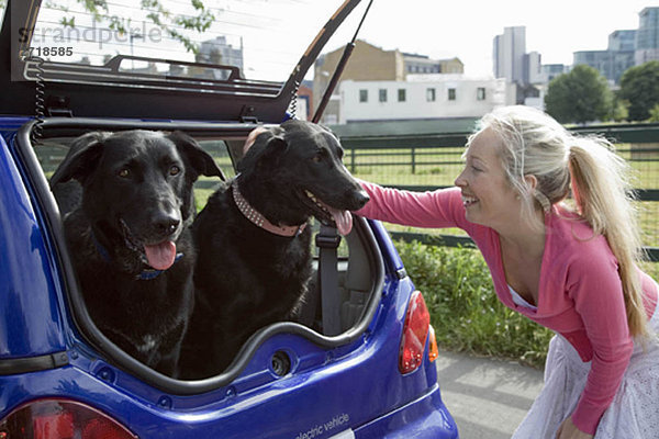 Junge Frau tätschelt Hunde im Elektroauto