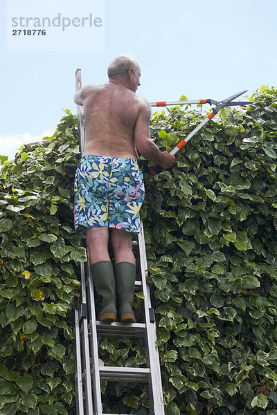 Alter Mann im Garten auf der Leiter