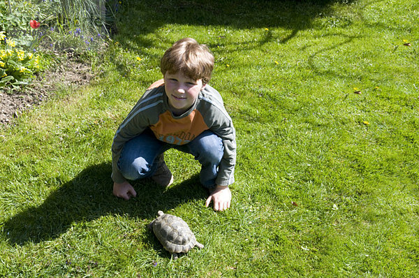 Junge und Schildkröte im Garten