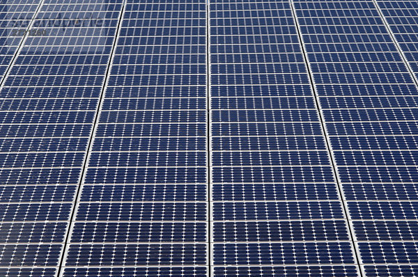 Solarzellen  Vollrahmen
