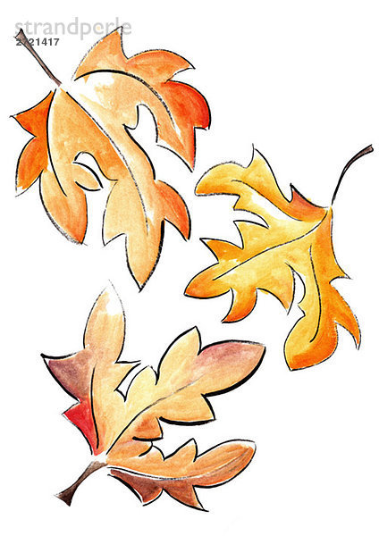 Illustration  Drei Herbstblätter