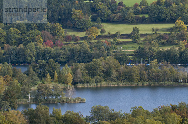 Deutschland  Baden-Württemberg  Illmensee  Herbstbäume und See  Hochansicht