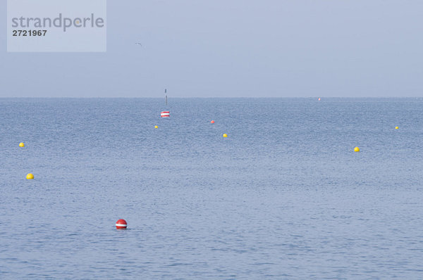 Germany  Buoys on Lake Constance