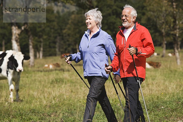 Österreich  Karwendel  Seniorenpaar Nordic Walking