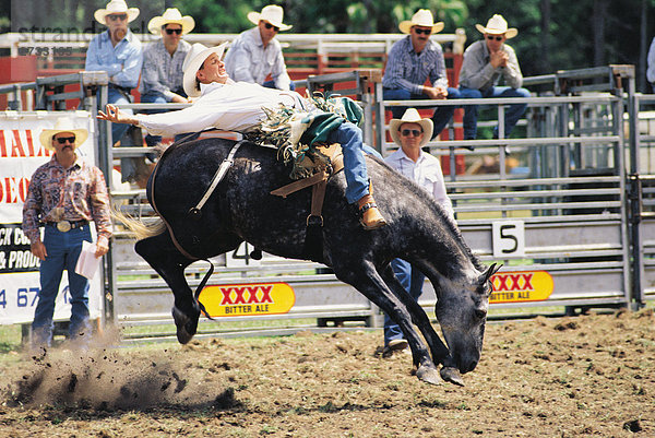 Cowboy Pferd am Rodeo in Queensland Reiten. Australien