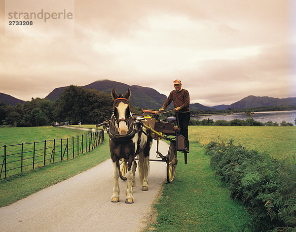 Man standing on Pony mit Trap im Killarney-Nationalpark im County Kerry in Irland