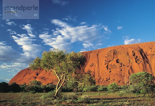 Ayers Rock (Uluru). Nordterritorium. Australien