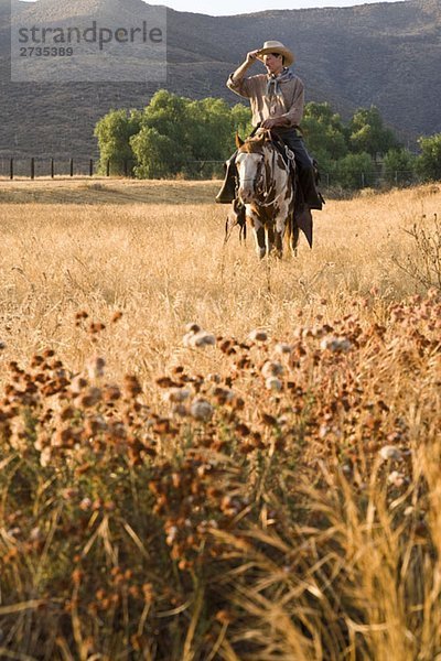 Ein Cowboy  der ein Pferd durch ein Feld reitet.