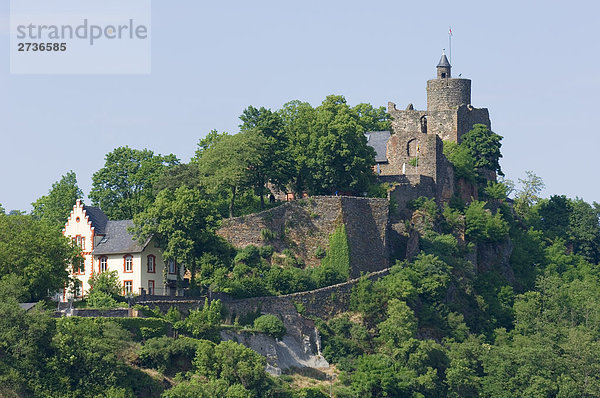 Burg umgeben von Bäumen  Saarburg  Rheinland-Pfalz  Deutschland