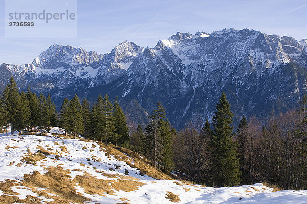 Bäume auf Schnee bedeckt Landschaft  Karwendel  Wettersteingebirge  Deutschland