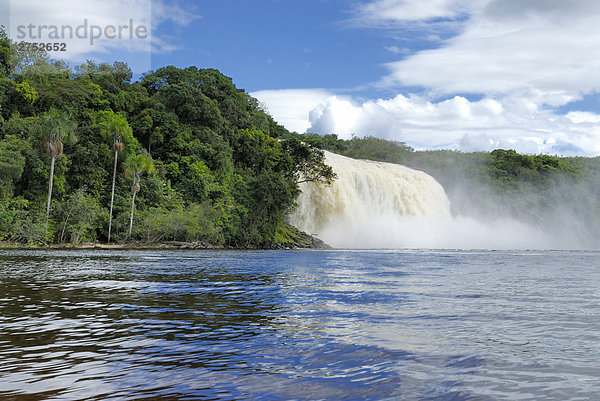 Wasserfall im Wald  Salto Hacha  Canaima Nationalpark  La Gran Sabana  Venezuela