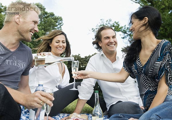 Männer und Frauen beim Picknick