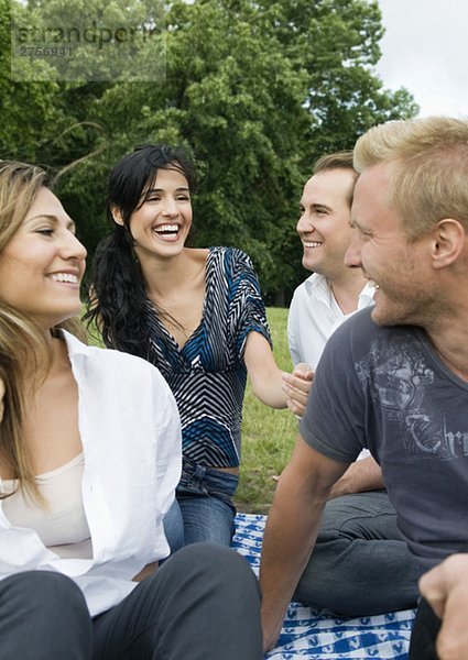 Männer und Frauen  die im Park sitzen