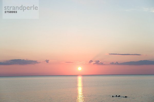 Schwimmen in sunset Oland Schweden.