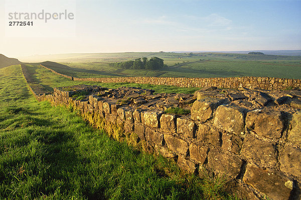 10850002  UK  Deutschland  Großbritannien  England  Northumbria  Hadrian's Wall  Landschaft  grün  Hadrianswall  lang  Römerzeit  Eisenzeit  UNESCO-Weltkulturerbe  Tourismus  Reisen  Urlaub  Urlaub