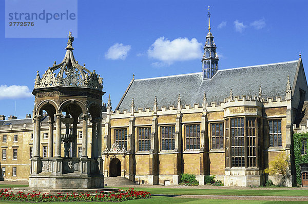 10850126  UK  Deutschland  Großbritannien  England  Cambridgeshire  Cambridge  Trinity College  großen Hof  Universität  Universitäten  Bildung  Tourismus  Reisen  Urlaub  Urlaub